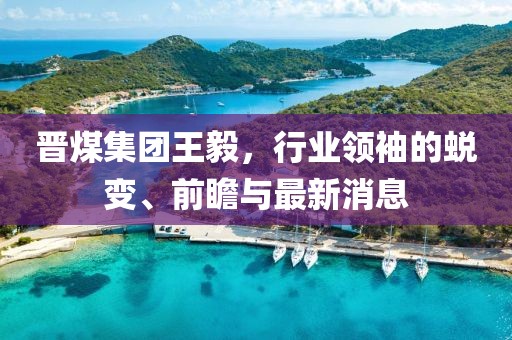晉煤集團王毅，行業(yè)領(lǐng)袖的蛻變、前瞻與最新消息