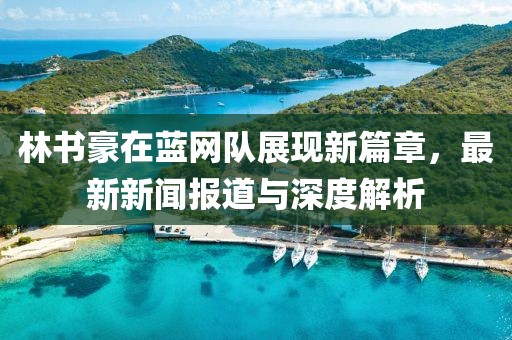 林書(shū)豪在藍網(wǎng)隊展現新篇章，最新新聞報道與深度解析
