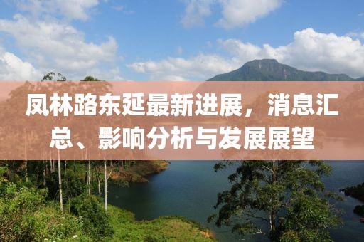 鳳林路東延最新進(jìn)展，消息匯總、影響分析與發(fā)展展望