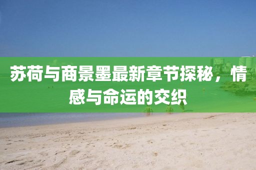 蘇荷與商景墨最新章節探秘，情感與命運的交織