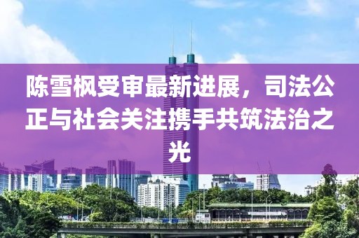 陳雪楓受審最新進(jìn)展，司法公正與社會(huì )關(guān)注攜手共筑法治之光