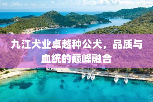 九江犬業(yè)卓越種公犬，品質(zhì)與血統的巔峰融合