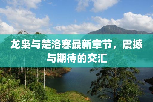 龍梟與楚洛寒最新章節，震撼與期待的交匯