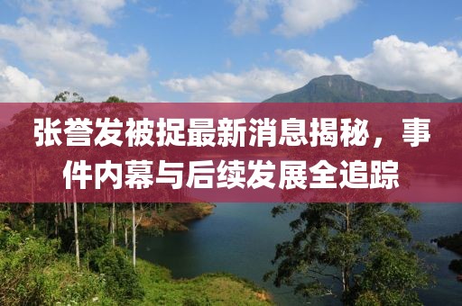 張譽(yù)發(fā)被捉最新消息揭秘，事件內幕與后續發(fā)展全追蹤