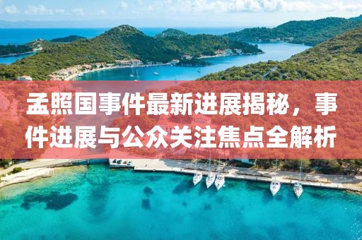 孟照國事件最新進(jìn)展揭秘，事件進(jìn)展與公眾關(guān)注焦點(diǎn)全解析