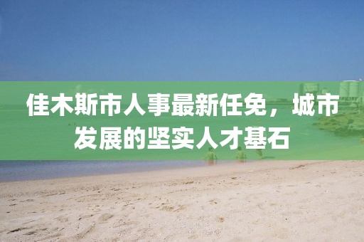 佳木斯市人事最新任免，城市發(fā)展的堅實(shí)人才基石