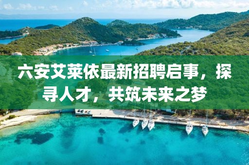 六安艾萊依最新招聘啟事，探尋人才，共筑未來(lái)之夢(mèng)