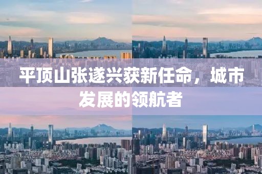 平頂山張遂興獲新任命，城市發(fā)展的領(lǐng)航者