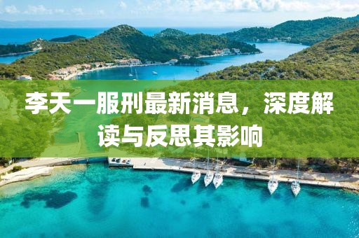 李天一服刑最新消息，深度解讀與反思其影響