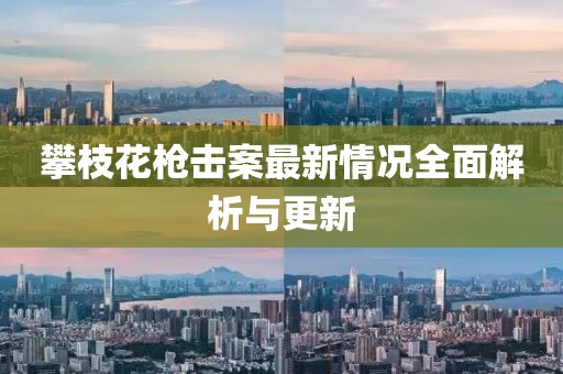 攀枝花槍擊案最新情況全面解析與更新