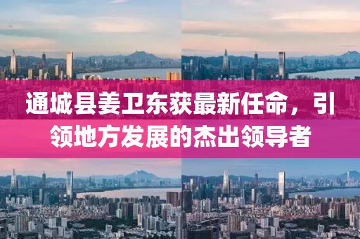 通城縣姜衛東獲最新任命，引領(lǐng)地方發(fā)展的杰出領(lǐng)導者