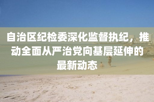 自治區紀檢委深化監督執紀，推動(dòng)全面從嚴治黨向基層延伸的最新動(dòng)態(tài)