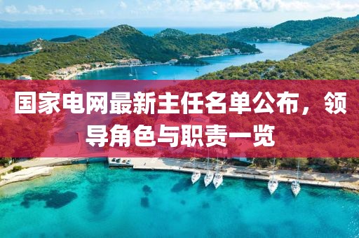 國家電網(wǎng)最新主任名單公布，領(lǐng)導角色與職責一覽