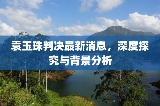 袁玉珠判決最新消息，深度探究與背景分析