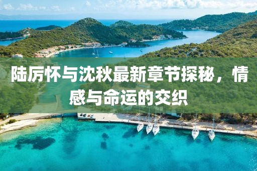 陸厲懷與沈秋最新章節探秘，情感與命運的交織