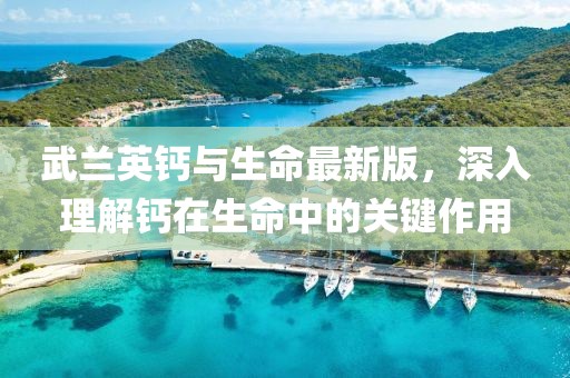 武蘭英鈣與生命最新版，深入理解鈣在生命中的關(guān)鍵作用