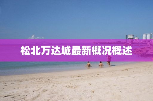 松北萬(wàn)達城最新概況概述