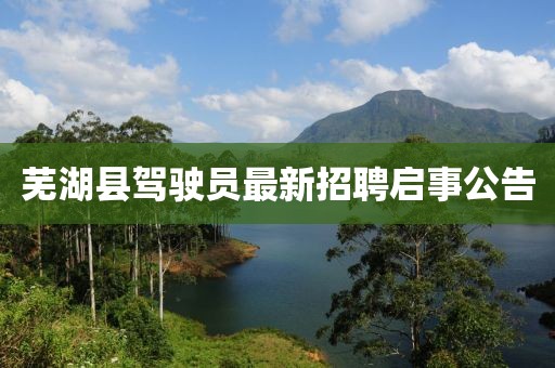 蕪湖縣駕駛員最新招聘啟事公告