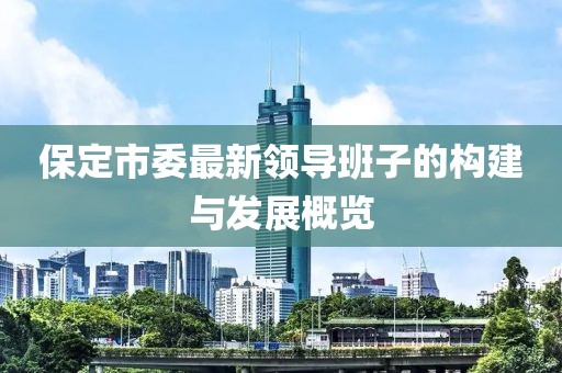 保定市委最新領(lǐng)導班子的構建與發(fā)展概覽