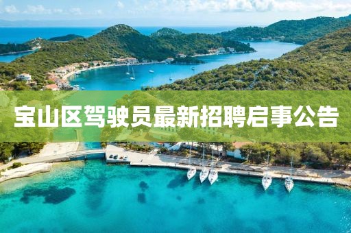 寶山區駕駛員最新招聘啟事公告
