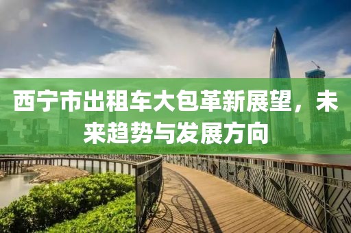 西寧市出租車(chē)大包革新展望，未來(lái)趨勢與發(fā)展方向