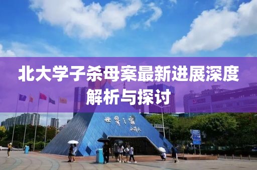 北大學(xué)子殺母案最新進(jìn)展深度解析與探討