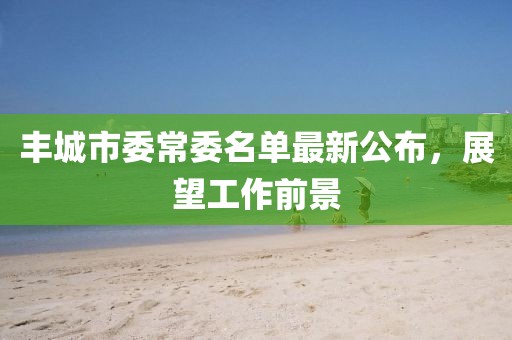 豐城市委常委名單最新公布，展望工作前景