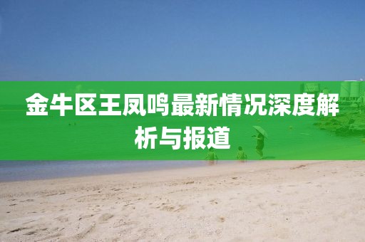 金牛區王鳳鳴最新情況深度解析與報道