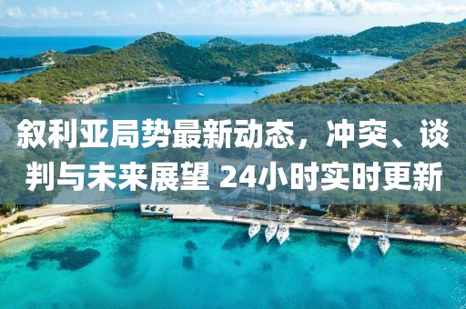 敘利亞局勢最新動(dòng)態(tài)，沖突、談判與未來(lái)展望 24小時(shí)實(shí)時(shí)更新