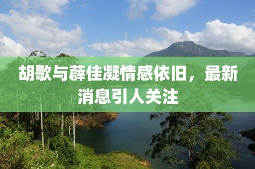 胡歌與薜佳凝情感依舊，最新消息引人關(guān)注