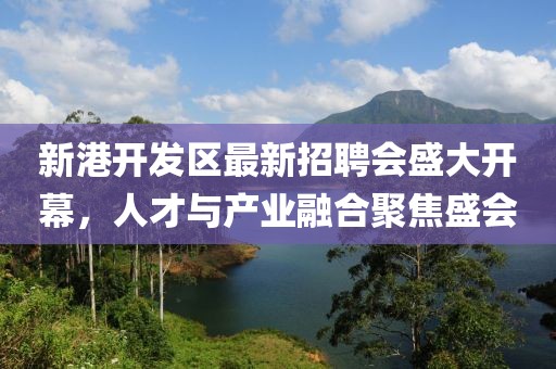 新港開(kāi)發(fā)區最新招聘會(huì )盛大開(kāi)幕，人才與產(chǎn)業(yè)融合聚焦盛會(huì )