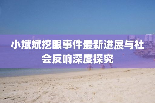 小斌斌挖眼事件最新進(jìn)展與社會(huì )反響深度探究