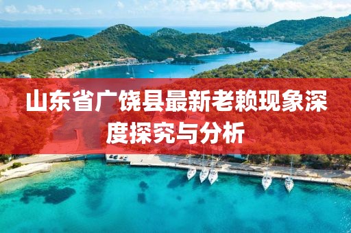 山東省廣饒縣最新老賴(lài)現象深度探究與分析
