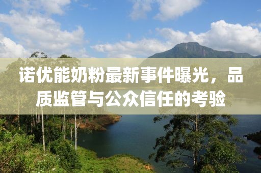 諾優(yōu)能奶粉最新事件曝光，品質(zhì)監管與公眾信任的考驗