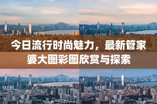 今日流行時(shí)尚魅力，最新管家婆大圖彩圖欣賞與探索