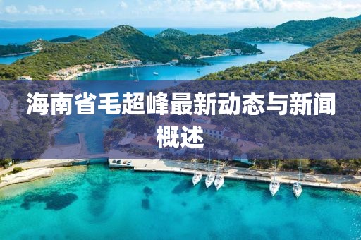 海南省毛超峰最新動(dòng)態(tài)與新聞概述