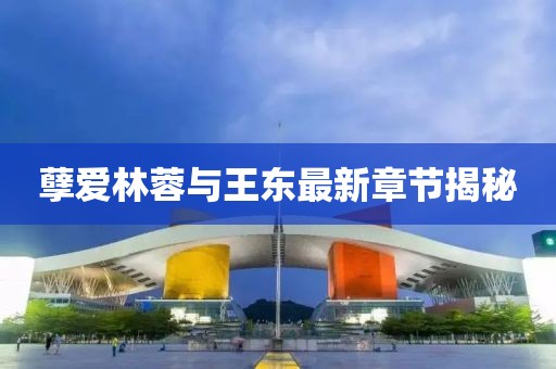 孽愛(ài)林蓉與王東最新章節揭秘