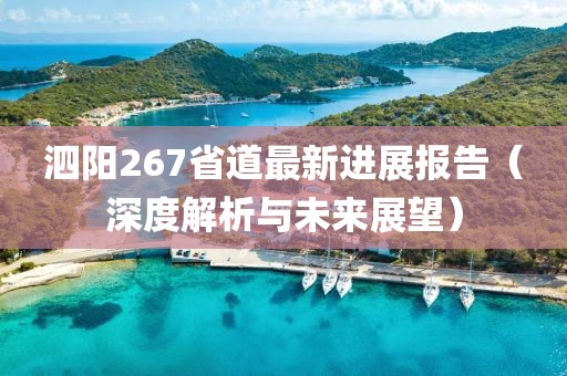 泗陽(yáng)267省道最新進(jìn)展報告（深度解析與未來(lái)展望）