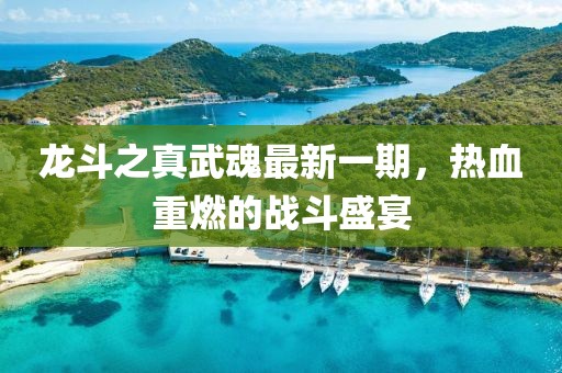 龍斗之真武魂最新一期，熱血重燃的戰斗盛宴