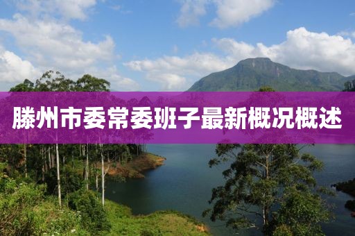 滕州市委常委班子最新概況概述