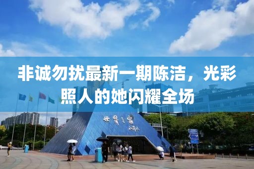 非誠勿擾最新一期陳潔，光彩照人的她閃耀全場(chǎng)