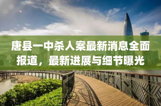 唐縣一中殺人案最新消息全面報道，最新進(jìn)展與細節曝光