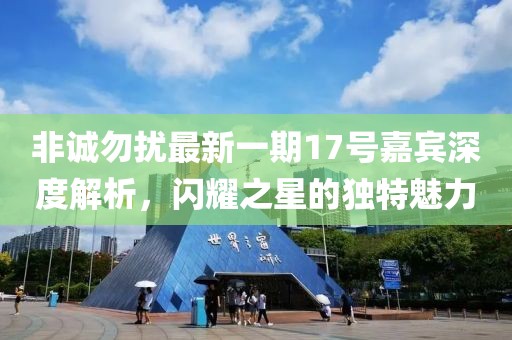 非誠勿擾最新一期17號嘉賓深度解析，閃耀之星的獨特魅力