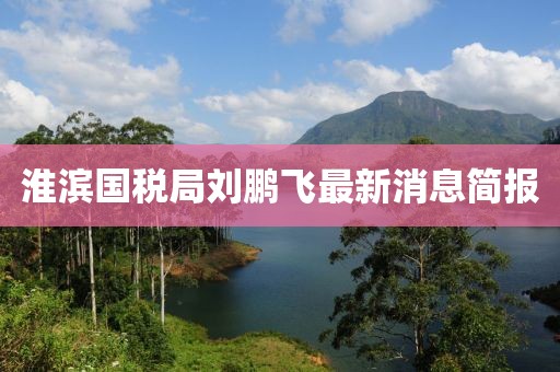 淮濱國稅局劉鵬飛最新消息簡(jiǎn)報