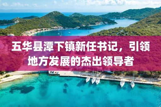 五華縣潭下鎮新任書(shū)記，引領(lǐng)地方發(fā)展的杰出領(lǐng)導者