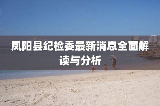鳳陽(yáng)縣紀檢委最新消息全面解讀與分析