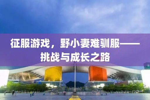 征服游戲，野小妻難馴服——挑戰與成長(cháng)之路
