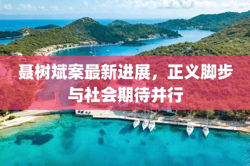 聶樹(shù)斌案最新進(jìn)展，正義腳步與社會(huì )期待并行