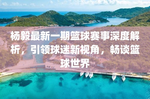 楊毅最新一期籃球賽事深度解析，引領(lǐng)球迷新視角，暢談籃球世界