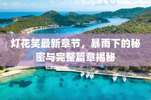 燈花笑最新章節，暴雨下的秘密與完整篇章揭秘